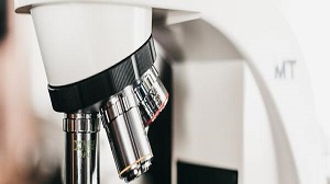 Understanding Enzyme Inhibitors in Glycan Pathway Research