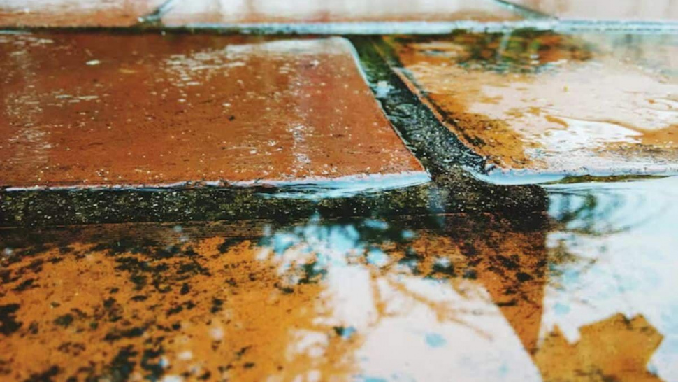 10 Costly Mistakes People Make After Water damage restoration st petersburg Emergencies