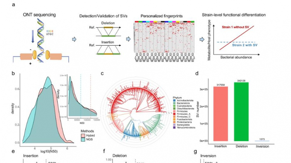 Long-read Sequencing for Microbiome Metagenomics