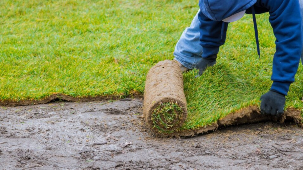 What Is Landscaping Estimating and Why Is It Important in Project Planning?