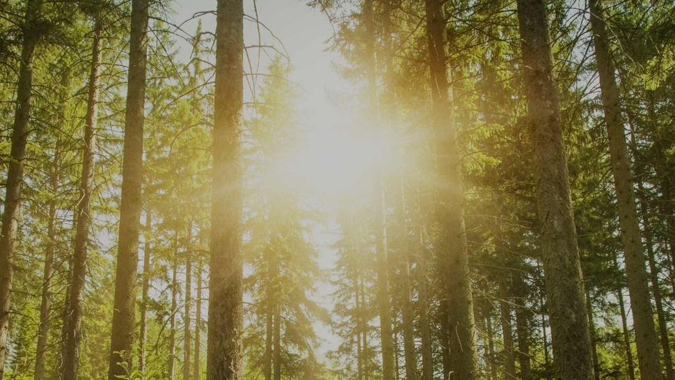 7 Powerful Reasons to Choose DBT Programs Los Angeles for Mental Wellness