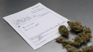 What to Expect During Your Medical Cannabis Physician Visit