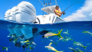 Florida Fishing Charters: Explore the Best Spots with Expert Guides