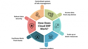 Cloud ERP vs. Traditional ERP: Which Solution Is Best for Your Business?