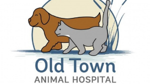Understanding Veterinary Surgical Procedures