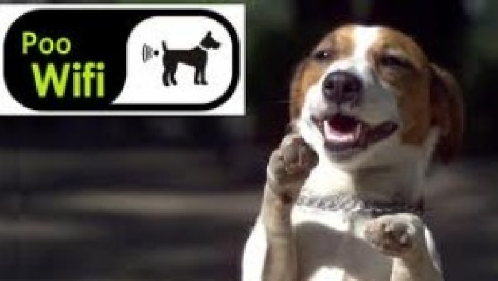 Neuer Trend [3]: Poo Wifi