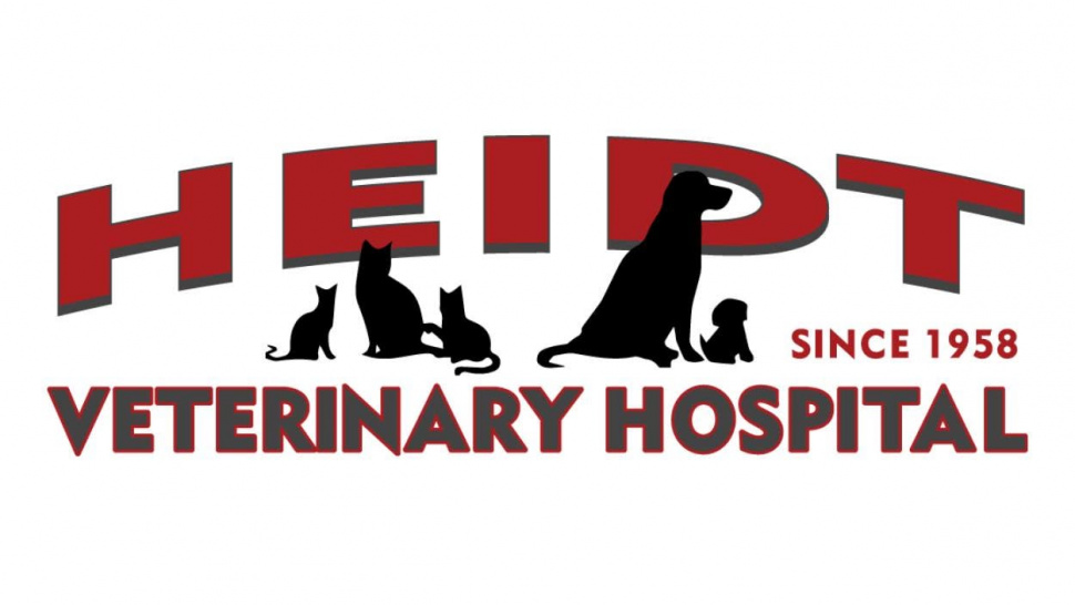 Protecting Your Pet’s Future: The Ultimate Guide to Finding the Right Veterinary Clinic
