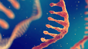 A New Treatment Method May Cure Patients of Genetic Hearing Loss