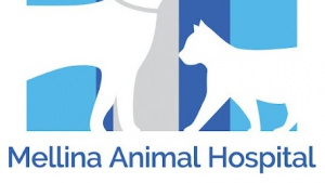 Unlocking Better Health: The Benefits of Regular Visits to a Trusted Veterinary Clinic