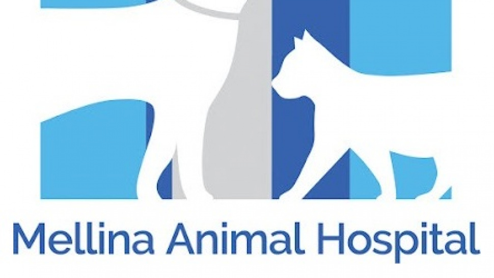Unlocking Better Health: The Benefits of Regular Visits to a Trusted Veterinary Clinic