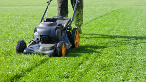 Grow Your Business with a Top Lawn Care Marketing Agency