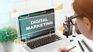 7 Proven Tampa Local SEO Strategies to Boost Your Rankings Fast