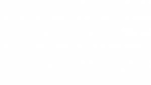 How Ethical Hacking Services Help Protect Your Digital Identity and Business