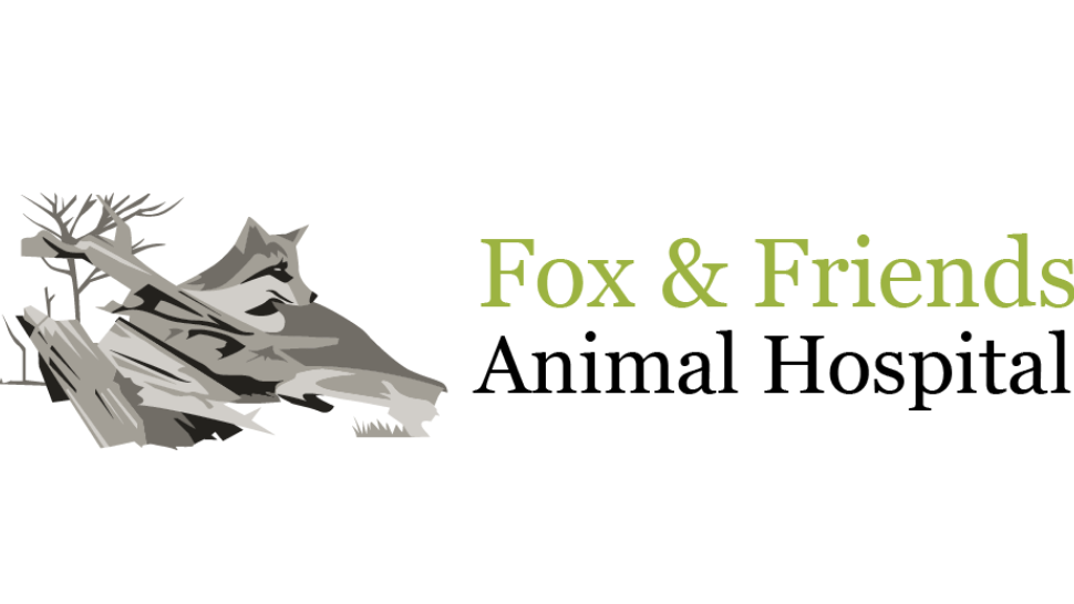 Fox &amp;amp; Friends Animal Hospital: Your Trusted Veterinary Clinic in Ruskin FL