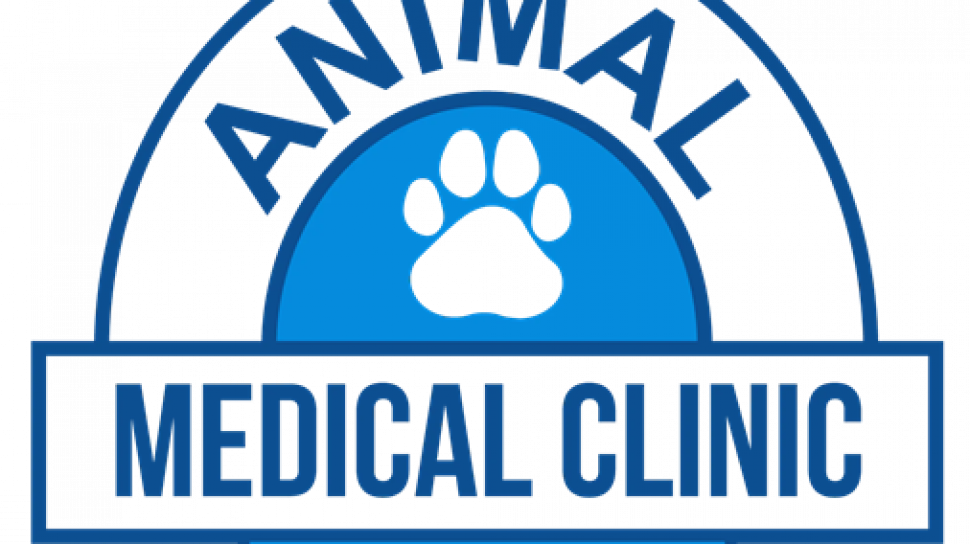 The Preventive Care Framework for Long-Term Pet Wellness