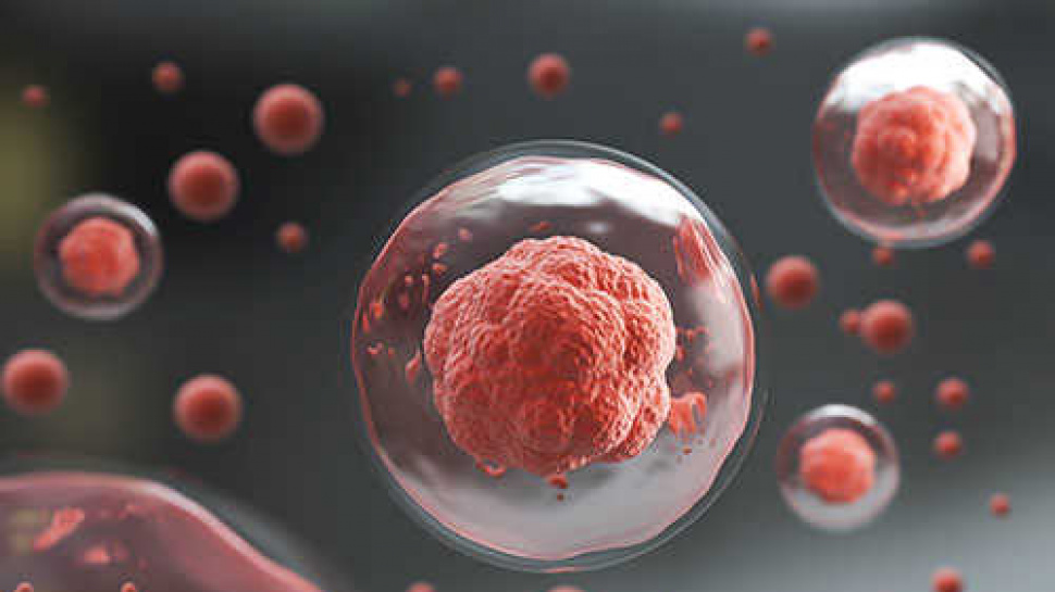 CD Genomics Redefines Genomic Research with Full-Length Transcripts Sequencing (Iso-Seq)