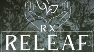 Early Detection &amp; Preventive Care