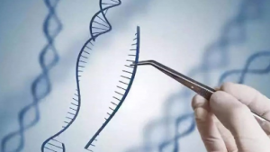 Gene Editing Might be A Powerful Tool to Conquer Cervical Cancer