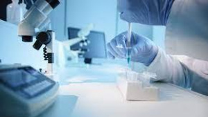 One-Stop Solution for Health and Nutraceutical Products: The Strategic Advantage in Modern Developme