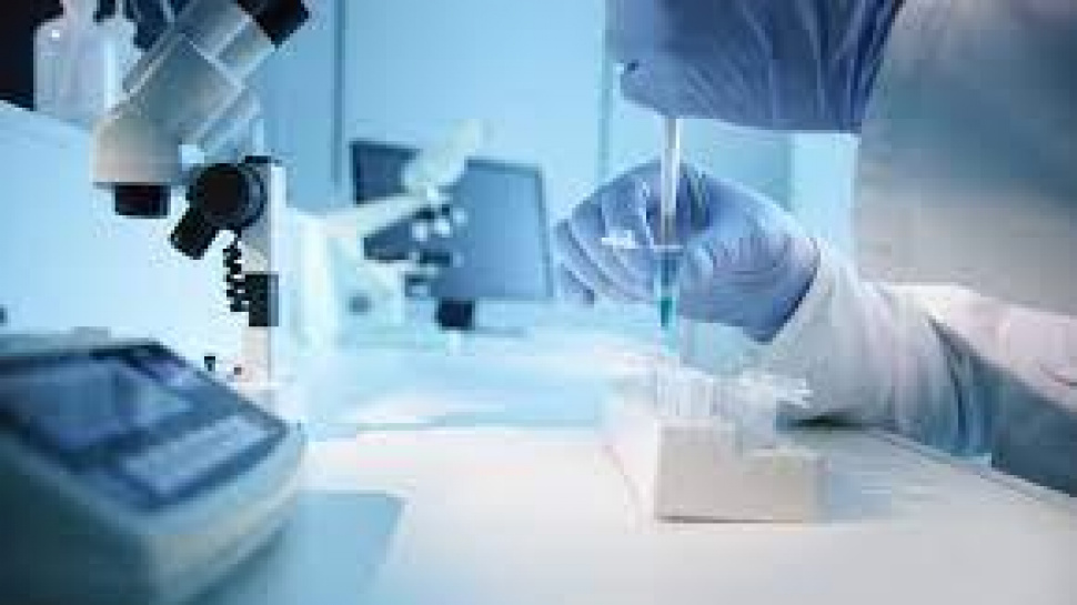 One-Stop Solution for Health and Nutraceutical Products: The Strategic Advantage in Modern Developme