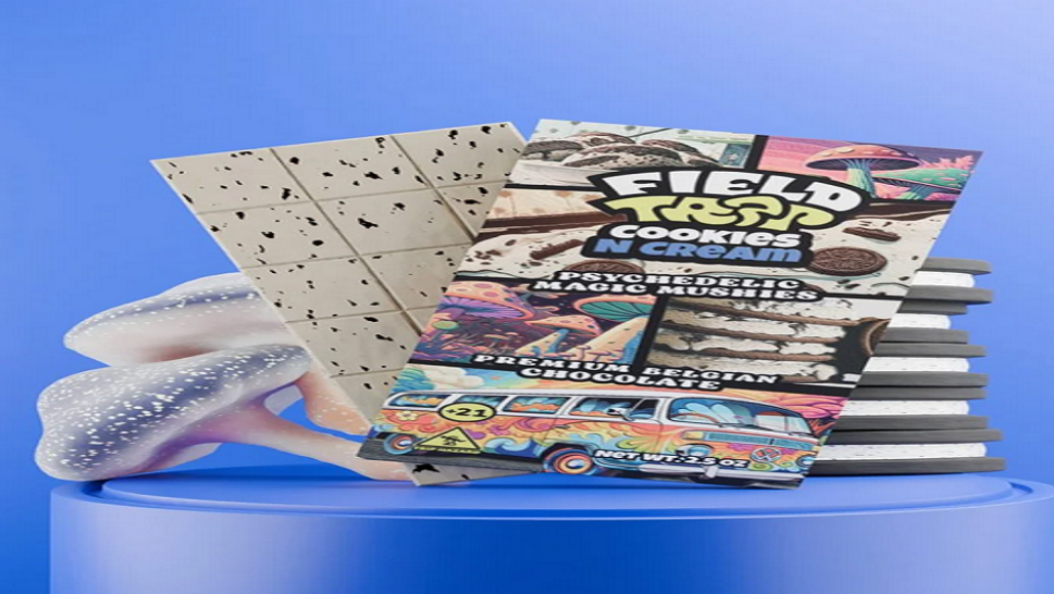 Best Magic Mushroom Chocolate: A Simple Buyer Guide Before You Pick a Bar