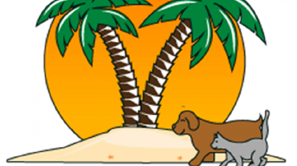 Comprehensive Preventive Care and Wellness Protocols