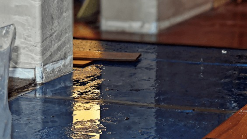 8 Costly Mistakes to Avoid After Water Damage in ST Petersburg FL