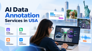 How Are AI Data Annotation Services in USA Used Across Different Industries?
